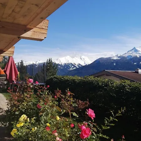 Haus Jessica Incl National Park Sommercard Apartment Mittersill