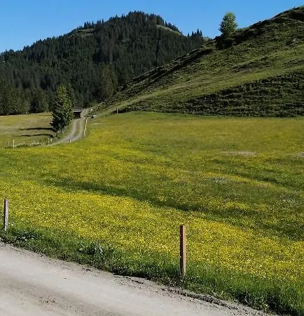 Haus Jessica Incl National Park Sommercard Apartmán Mittersill